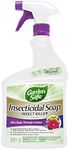 Garden Safe 32 oz. Insecticidal Soa