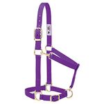 Weaver Leather 35-7434-PU Basic Adjustable Chin and Throat Snap Halter, 1-Inch Small Horse, Purple