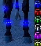 LED Horse Leg Band, 6 Colors in 1 L