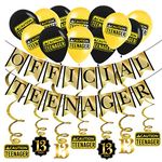 Funny Official Teenager 13th Birthday Party Pack - Gold & Black 13th Birthday Party Supplies, Decorations and Favors