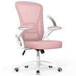 naspaluro Office Chair Ergonomic Desk Chair with 90° Flip-up Armrest Lumbar Support, Height Adjustable Office Desk Chair, Executive Swivel Computer Chair with Padded Seat Cushion for Home/Office-Pink