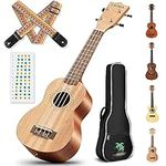 CAHAYA Soprano Ukulele 21 Inch Starter Kit Beginner with Gig Bag, Rainbow Strap, Scale stickers, for Both Adults and Kids, Mahogany CY0068