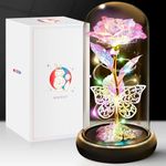 Birthday Gifts for Women Wife Her, Butterfly Rose Light Up Preserved Rose in Glass Dome, Eternal Rose Light Gifts for Birthday Anniversary, Rose Flower Women Gifts for Women Mom Girlfriend(Colorful)