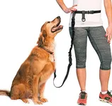 The Buddy System Hands Free Dog Leash, Adjustable Leash for Running, Jogging, Training and Service Dog Made in USA (Bundle Leash + Lunge Buster, Regular Belt (22"- 40" Waist)