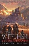 BLOOD OF ELVES (COLLECTOR'S HB): Collector's Hardback Edition (The Witcher)