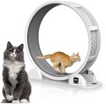 Pilipane Cat Exercise Wheel, Large Cat Treadmill Wheel Diameter with Pedometer for Indoor Cats, Cat Interactive Toy,Cat Weight Control Machine for Running/Walking/Training