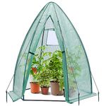 Ohuhu Portable Greenhouse for Winter, Ohuhu Heavy Duty Hexagonal Green House Outdoor with Durable PE Cover, Garden Tent with Zippered Door Mesh Window for Frost & Snow Protection, 63x63x72 Inch