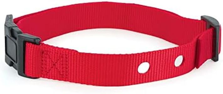 PetSafe 1 Inch Replacement Collar Strap with 2 Holes, for Wireless Fence and In-Ground Fence Collars - for Dogs, Red