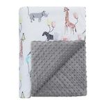 Baby Blanket for Newborn Boys and Girls Warm Thick Dot Fleece Baby Blanket Soft Plush Receiving Gift for Kids Toddlers Flower Printed + Dot Backing 78 x 100 cm (Gray Balloon Elephant)