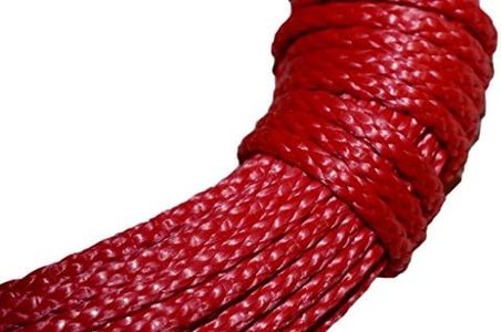 Samson Ams