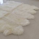 Champlus Genuine Australian Merino