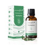 Aromahpure Fragrance Oil | 15 ml | Eucalyptus Aroma Oil for Home Fragrance | Best for Aromatherapy | Helps in Meditation | Used in Diffusers, Candles, Air Fresheners, Soaps, IFRA Certified