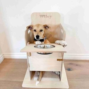 Bailey Chair for Dogs – Adjustable Wooden Dog Feeding Chair with Tray, Upright Feeding Support for Megaesophagus & Other Needs, Handmade Birch Plywood Pet Chair (Large)