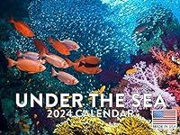 Under the Sea Fish Calendar 2024 Mo