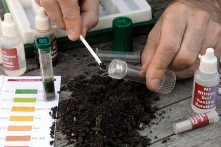 Bosmere PH Soil Test Kit – Garden Soil Testing Tool