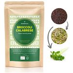 Verdant Republic Organic Broccoli Calabrese Sprouting Seeds 250g/500g/1kg | Non-GMO, Rich in Nutrients | Easy to Sprout in 5 Days| High Germination into Microgreens in 10 Days (250g)