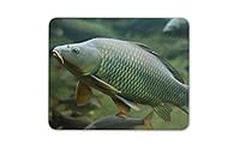 Destination Vinyl Ltd Wild Common Carp Fishing Mouse Mat Pad - Angling Fresh Fun Computer #15753