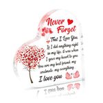 LOOPES I Love You Gifts For Her Him,Love Acrylic Plaque Couples Gifts for Him And Her Birthday Presents for Wife Husband Christmas Anniversary Valentines Day Gift Ideas for Boyfriend Girlfriend