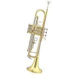 Standard Trumpet B-Flat Lacquer Gol