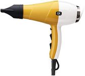 GKhair Ion Pro Blow Dryer Professional Salon Grade 2 Speed & 3 Heat Settings, Cool Shot Function Blowdry Hairdryer for All Hair Types US Plug 1875W