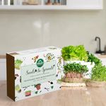 Trustbasket Seeds To Sprouts Garden Microgreens Kit - Mustard and Radish Microgreens, Gardening kit for beginners - Sustainable & Eco-friendly Festive Gift Box