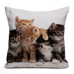 Tomda Cute Cats Decorative Cushion Cover 45x45cm, Kittens Family Cats Cotton Linen Outdoor Pillow Cases Square Standard Throw Pillow Cover Case for Sofa Couch Bed Car 18x18 inch