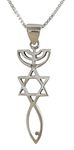 Sterling Silver Messianic Seal Pendant Spiritual Religious Jewelry Grafted Necklace Pendant with Chain (24)