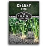 Utah Celery Seed for Planting - Pac