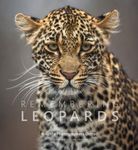 Remembering Leopards: 8 (Rememberin