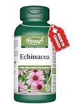 VORST Echinacea 800mg Per Serving (400mg Per Capsule) With 5:1 Extract Ratio (4000mg Raw Extract Equivalent) 120 Capsules | Anti Inflammatory Supplement for Common Cold & Flu Relief , Immune System Support , and Reducing Fever | 1 Bottle