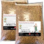 Dried mealworms Economic Alternative - Dried Black Soldier Fly Larvae - 11 lb (5 kg) (22 lb (10 kg) 2 Bags)