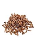 BRASK" STEEL SELF TAPPING SCREWS CSK PHILIP HEAD 19 MM X 6 MM (3/4 INCH) ROSE GOLD COLOUR (PACK OF 200 PCS)