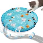 Pubialo Cat Toys for Indoor Cats Adult,Interactive Automatic Cat Toy Games,Fast Rolling & Motion Activated,Hide and Seek Mouse Catching Game,Stimulates Hunting Instincts (Fetch)