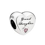 Pandora Charms Style Friend Heart Charms