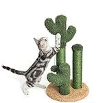Pesofer Cactus Cat Scratching Post 