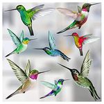 8 Mixed Beautiful Humming Bird Static Cling Window Stickers - Hummingbird Anti Collision Bird Strike Window Stickers - Unique Double Sided Print