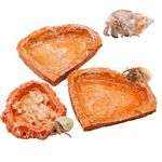 3 Pack Reptile Food Dish, Resin Hermit Crab Food & Water Bowl, Reptile Feeding Food Dish Kit, Tank or Aquarium Accessory, Suitable for Turtle Lizard Hermit Crab Snail Bearded Dragon Leopard Gecko