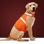 Dog Jacket High Visibility Safety Reflective Dog Vest for Small Medium Large Dogs (Medium, Orange)