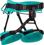 Mammut 4 Slide Harness Harnesses