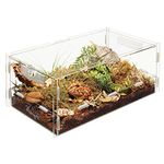 Zilla Micro Habitats Terrestrial Large