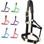 T TEKE Adjustable Horse Halter by Heavy Duty Soft Nylon, Padded with Anti-rubbing Waffle Neoprene on Both Crown & Nose