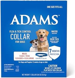 Adams Flea
