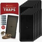 LULUCATCH Super Glue Traps 12 Pack 