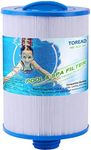 TOREAD Replacement for Spa Filter Unicel 6CH-940, PWW50P3(NOT PWW50P4), Filbur FC-0359, 817-0050, 25252, 03FIL1400, 1 1/2" SAE Thread Screw in Filter, 2 Pack