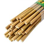 Jollybower 30pcs 1/3" D Bamboo Stakes 2FT,Plant Stakes, Natural Garden Stakes for Tomato, Bean, Flowers,Trees Potted and Climbing Plant Support