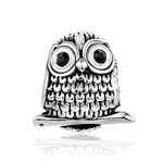 SBI Jewelry Black Owl Charm Compatible with Pandora Charm Bracelet Lucky Animal Wisdom Silver Bead Friends Auntie Cousin Niece Birthday Anniversary