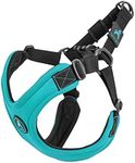 Gooby Escape Free Sport Harness - Turquoise, Small - No Choke Step-in Patented Neoprene Small Dog Harness, Four-Point Adjustment - Perfect on The Go Dog Harness for Medium Dogs No Pull and Small Dogs