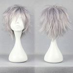 Unisex Short Cosplay Full Wigs Natural Layer Straight Hair Anime Costume Party Wig Fancy Dress for Women Men Boy Girls (Silvery Gray)