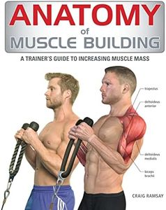 Anatomy of Muscle Building: A Trainer's Guide to Increasing Muscle Mass
