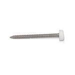 HomeSmart 50 x UPVC Panel Pins 30mm Poly Top Pins Nails Plastic Headed Fascia Fixings Strop Grip Durable Stainless Steel Roofing Nails Secure Hold PVC Cladding Pins for Home Projects (White)